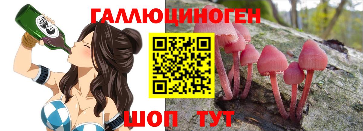 Меф Красноярск